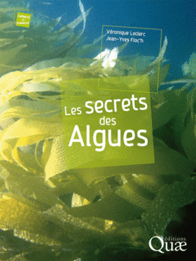 Les secrets des algues