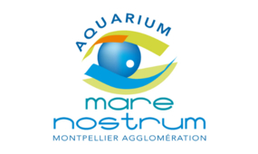 Logo Mare Nostrum
