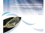 Journées d'information - Surmortalités des naissains d'huîtres creuses