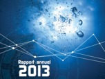 Rapport annuel 2013