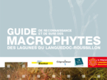 Guide des macrophytes des lagunes du Languedoc-Roussillon